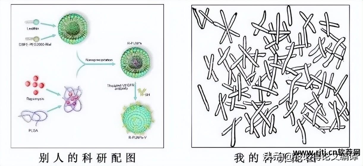 论文常用作图软件_ai画图软件教程_论文作图软件有哪些比较好