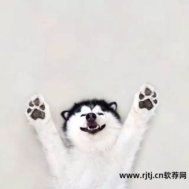 网络记账软件_记账软件网络版_记账软件网络不稳定