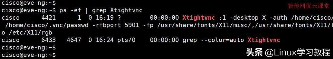 vnc远程控制软件教程_vnc远程控制软件中文版_vnc远程控制软件下载