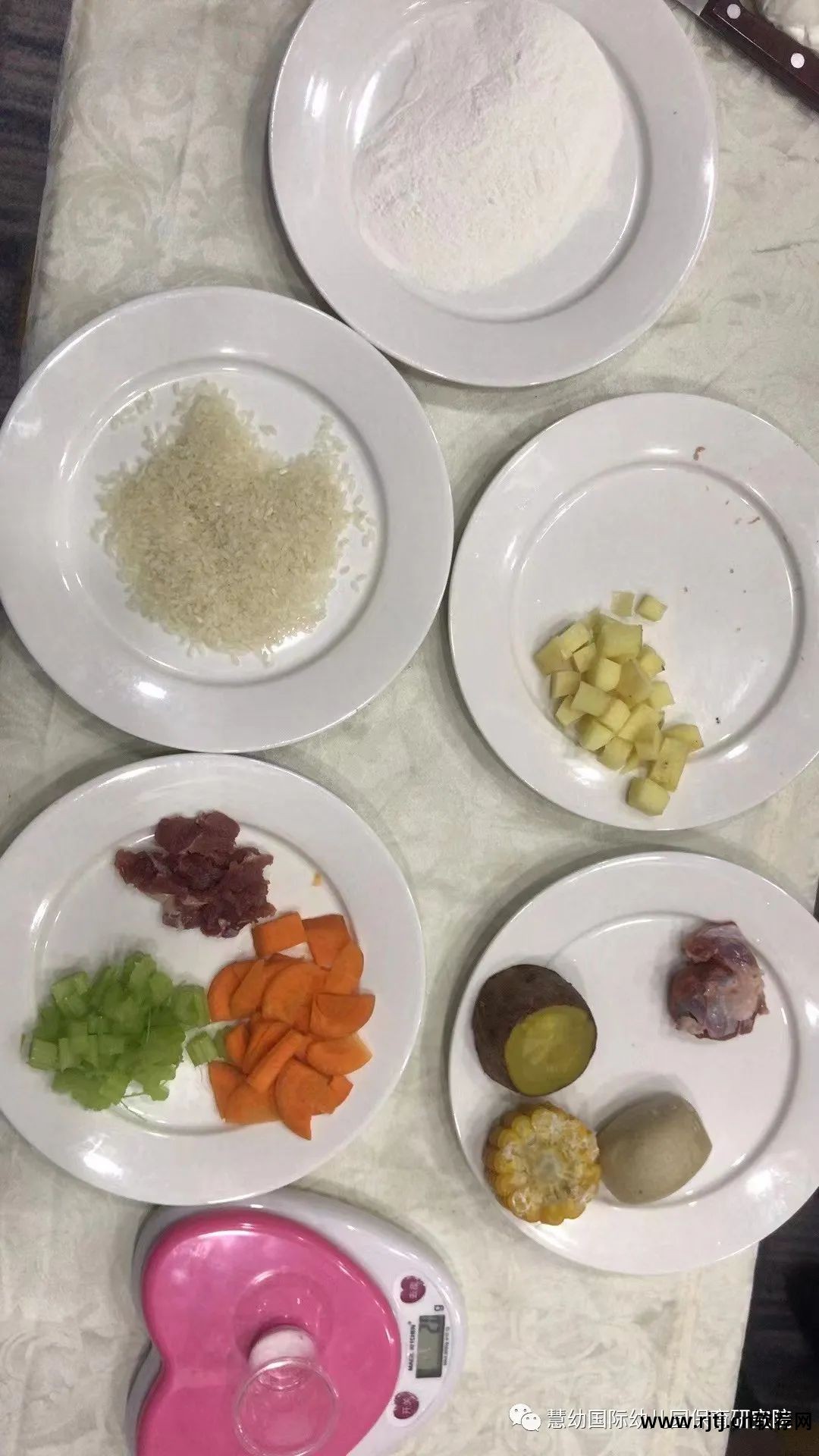 幼儿园带量食谱制作软件_幼儿园食谱带量计算的软件_幼儿园带量食谱软件