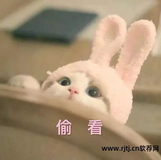 铃声大全电脑版软件免费下载_电脑铃声制作软件_铃声大全软件电脑版
