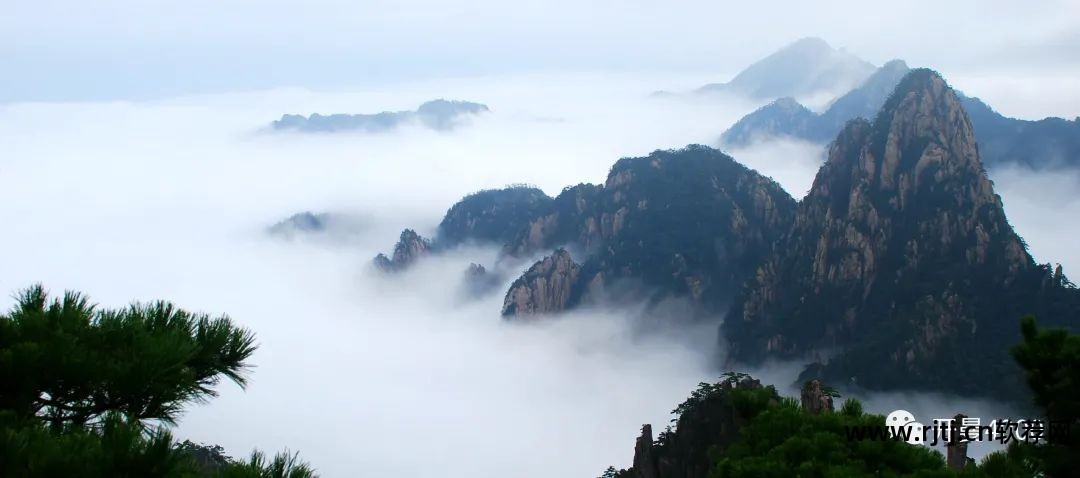 美团软件抢单神器下载_美团抢单是什么意思_美团抢单软件