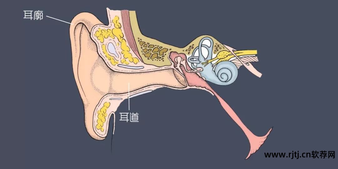 煲耳机软件哪个好用_煲耳机教程软件推荐_煲耳机软件教程