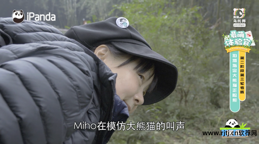 看熊猫软件_熊猫软件可以看片的怎么下载_熊猫appxm