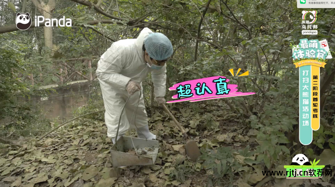 熊猫appxm_熊猫软件可以看片的怎么下载_看熊猫软件