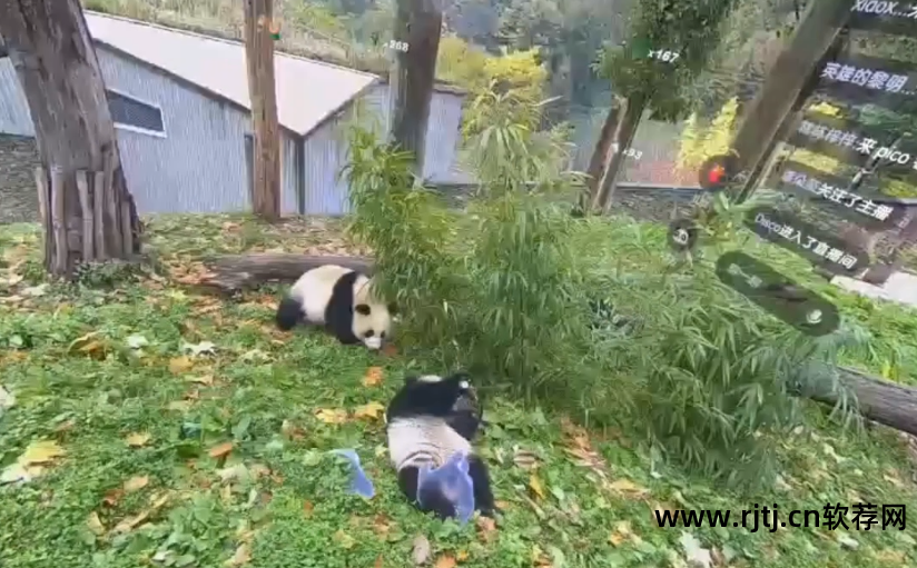 看熊猫软件_熊猫appxm_熊猫app2019