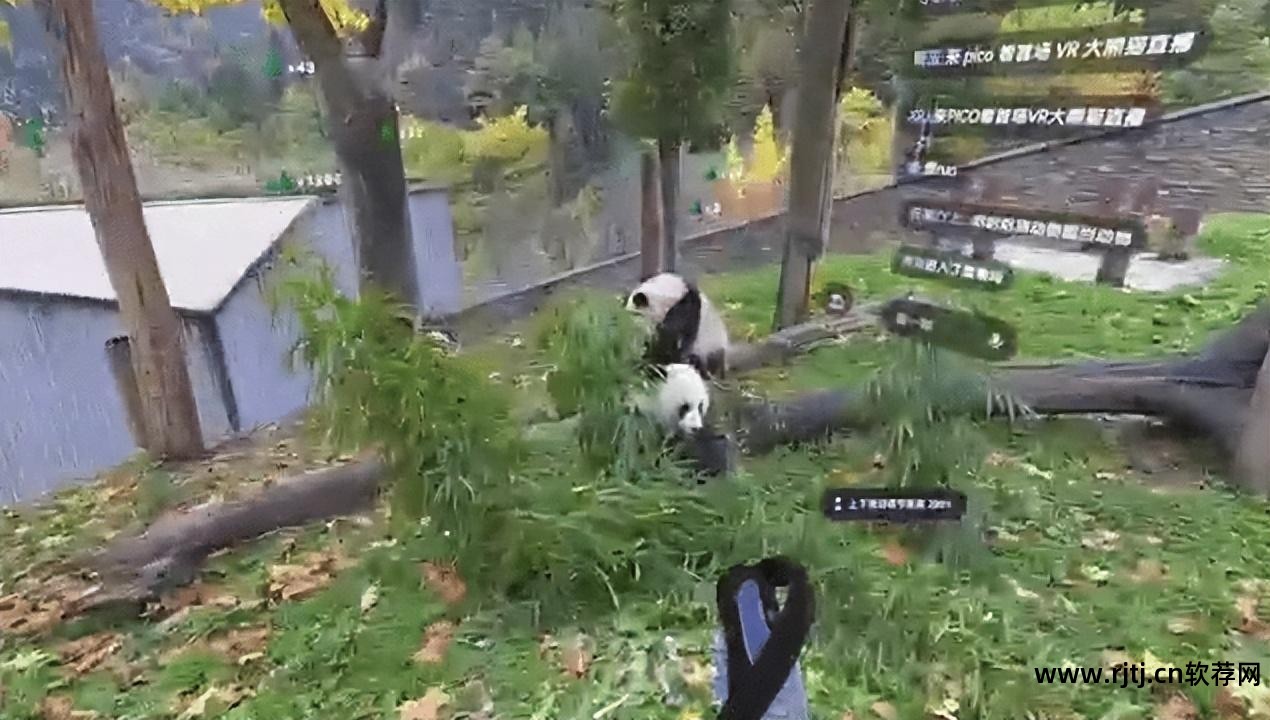 熊猫appxm_熊猫app2019_看熊猫软件
