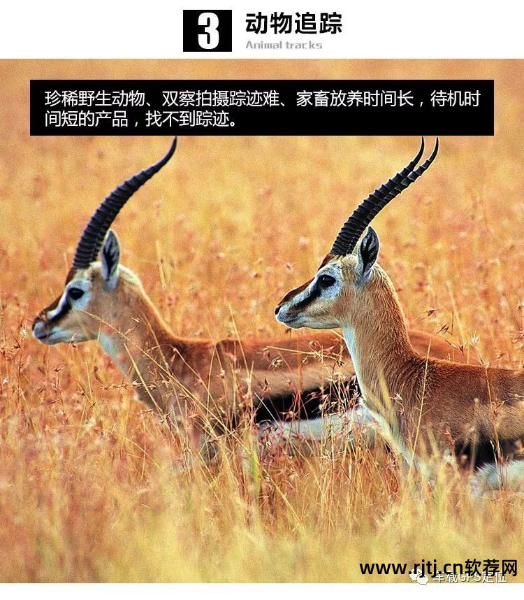 开机校时软件_软件开机启动什么意思_开机提醒软件