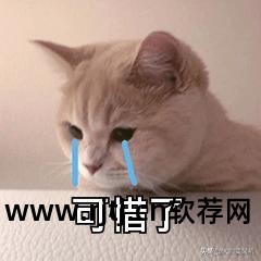 qq刷qb软件免费版2016_免费刷q币的软件下载2020_免费刷的软件