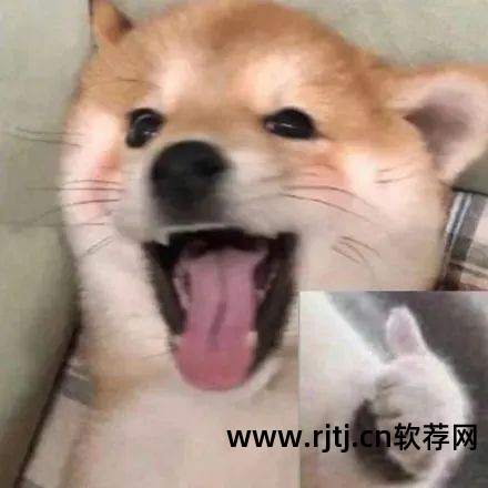 宿主软件_宿主软件什么意思_音频宿主软件