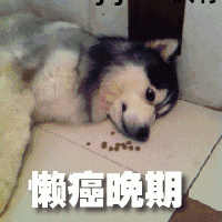 国外买东西软件可以用吗_可以买国外东西的软件_在哪个网站可以买日本的东西