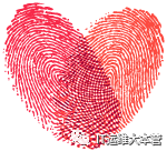 软件网络工程师_网络工程师软件工具_软件工程工程网络