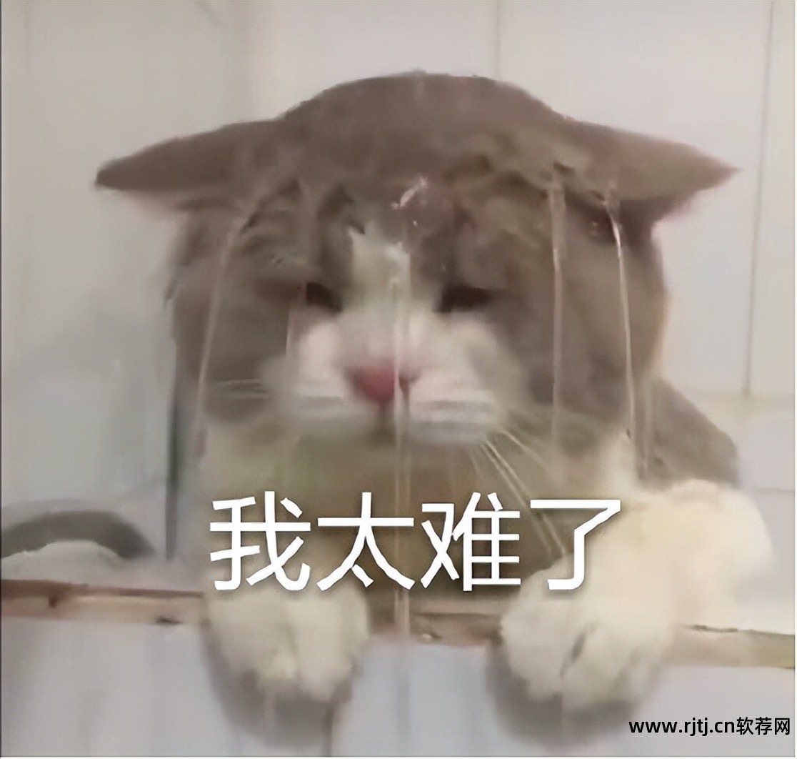 引擎网盘搜索软件有哪些_引擎网盘搜索软件下载_网盘搜索引擎软件