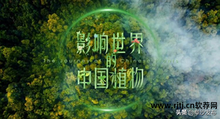 学习英语口语的软件_零基础学习英语软件_洪恩英语学习软件