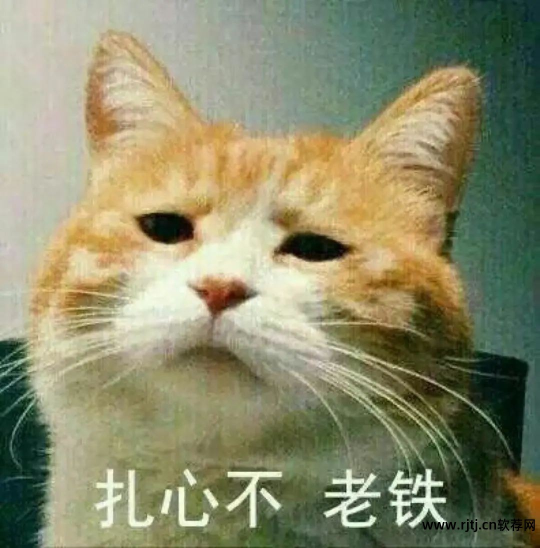 日语音频软件_日语语音软件_日语五十音软件哪个好