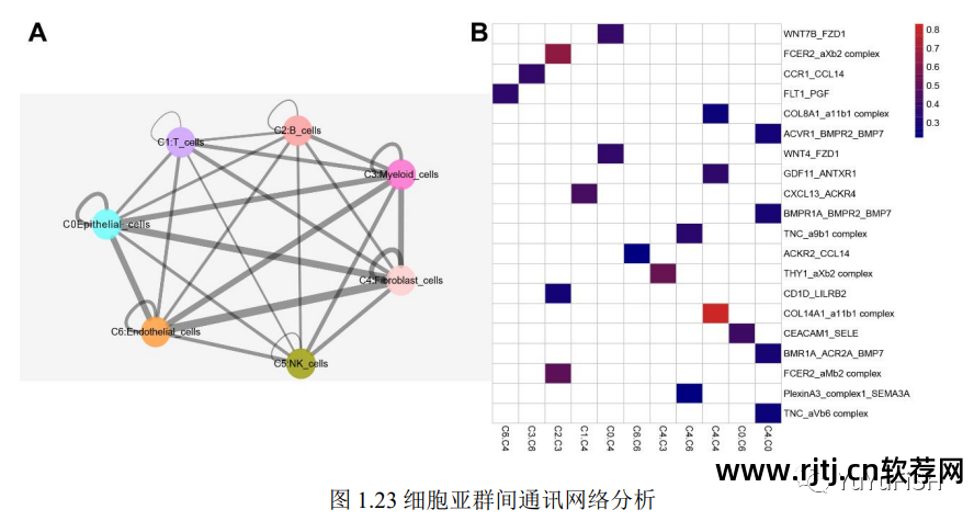群克隆失败是怎么回事_群克隆是什么意思_群克隆软件