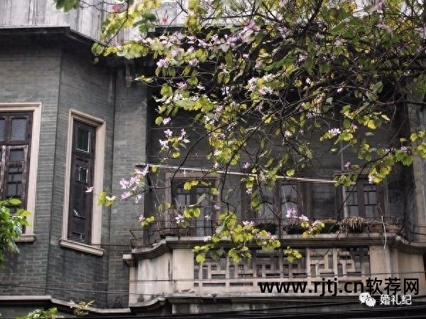 婚纱照片p图软件_照婚纱的软件p图背景图片_婚纱照p图软件