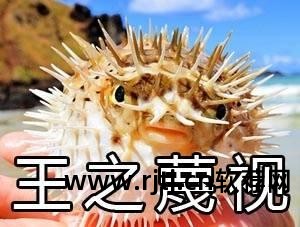 制作ppt用什么软件_制作ppt用什么软件手机_制作ppt 软件