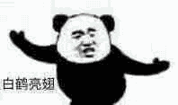 开机自动软件下载_自动开机软件_开机自动软件怎么关闭