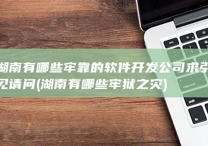 湖南有哪些牢靠的软件开发公司