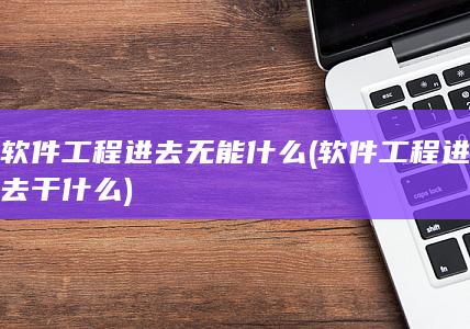 软件工程进去干什么