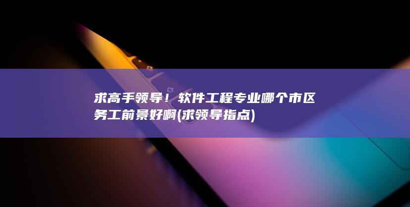 软件工程专业哪个市区务工前景好啊