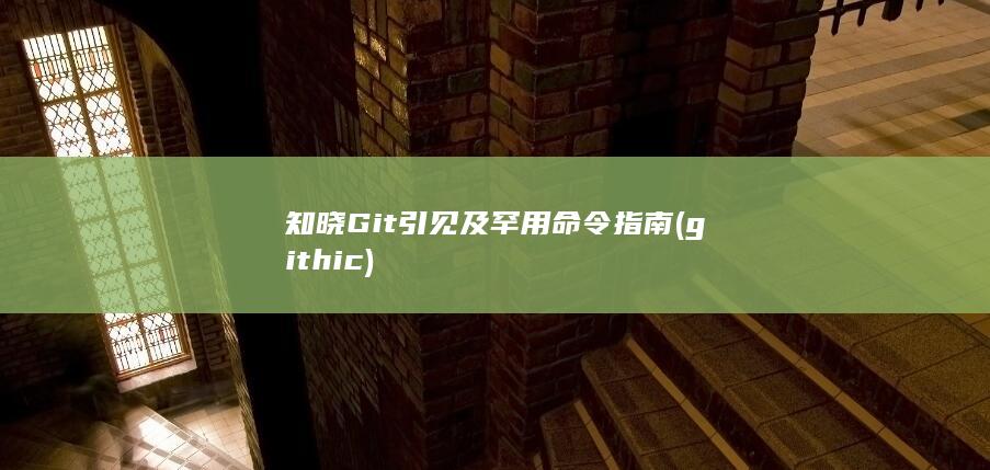 引见及罕用命令指南