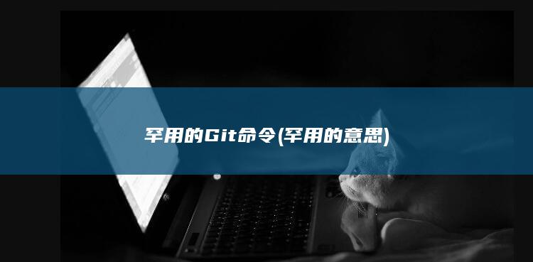 罕用的意思