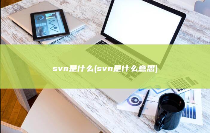 svn是什么意思