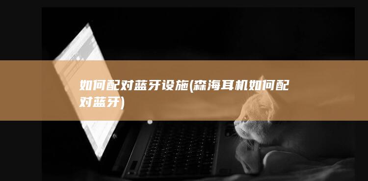 森海耳机如何配对蓝牙