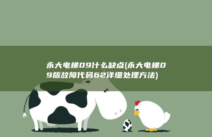 永大电梯09什么缺点