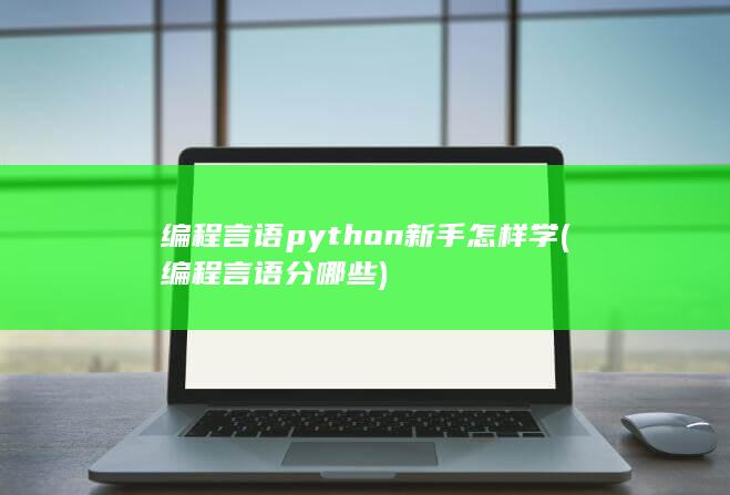 编程言语分哪些