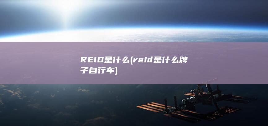 REID是什么