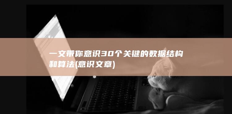 意识文章