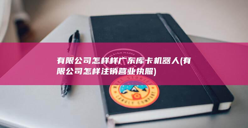 有限公司怎样样