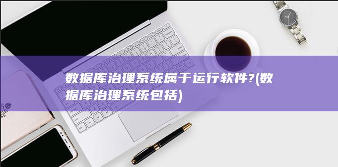 数据库治理系统属于运行软件?