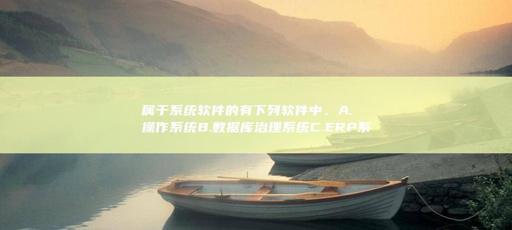 下列软件中