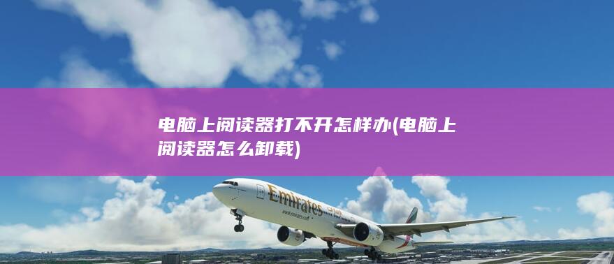 电脑上阅读器打不开怎样办