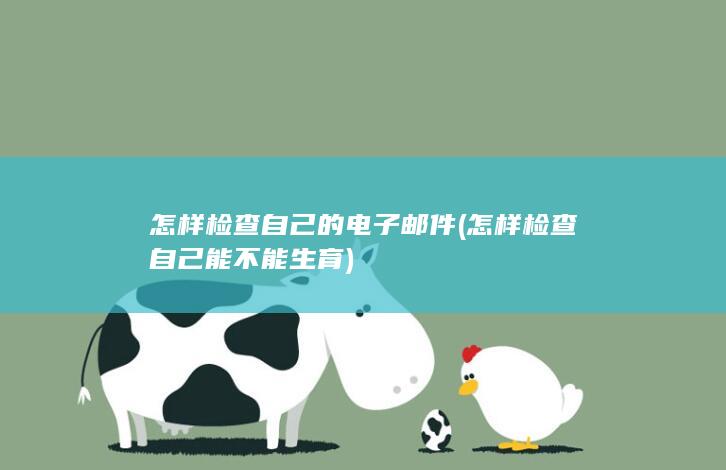 怎样检查自己的电子邮件