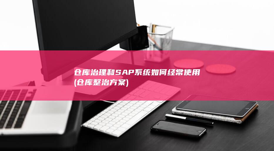 仓库治理和SAP系统如何经常使用