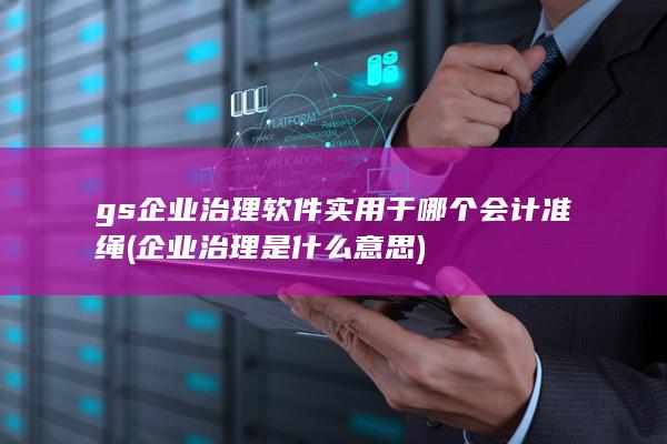 gs企业治理软件实用于哪个会计准绳