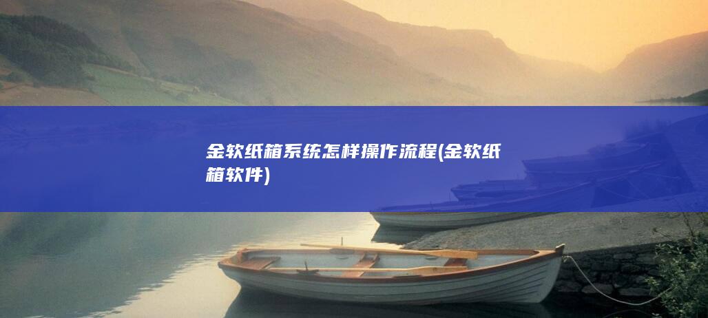 金软纸箱系统怎样操作流程