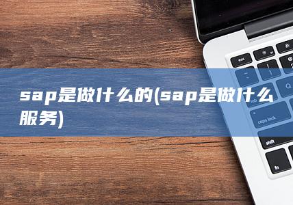 sap是做什么的