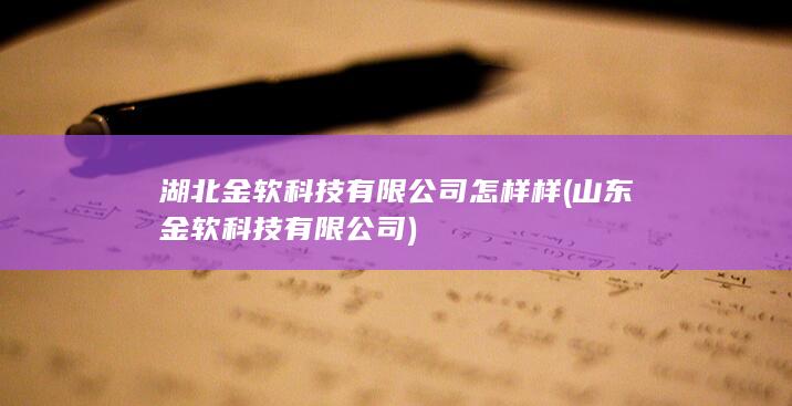 山东金软科技有限公司