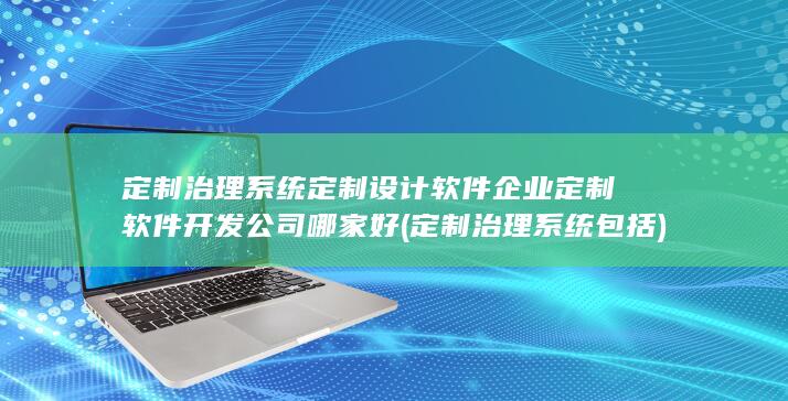 定制治理系统包括