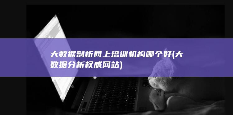 大数据剖析网上培训机构哪个好