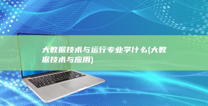 大数据技术与运行专业学什么
