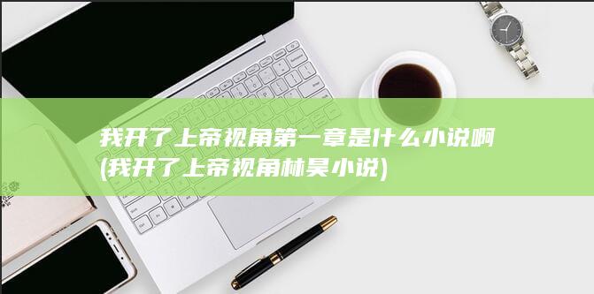 我开了上帝视角林昊小说