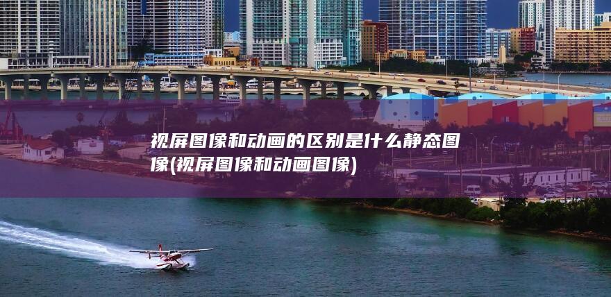 视屏图像和动画图像