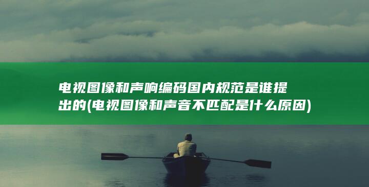 电视图像和声响编码国内规范是谁提出的